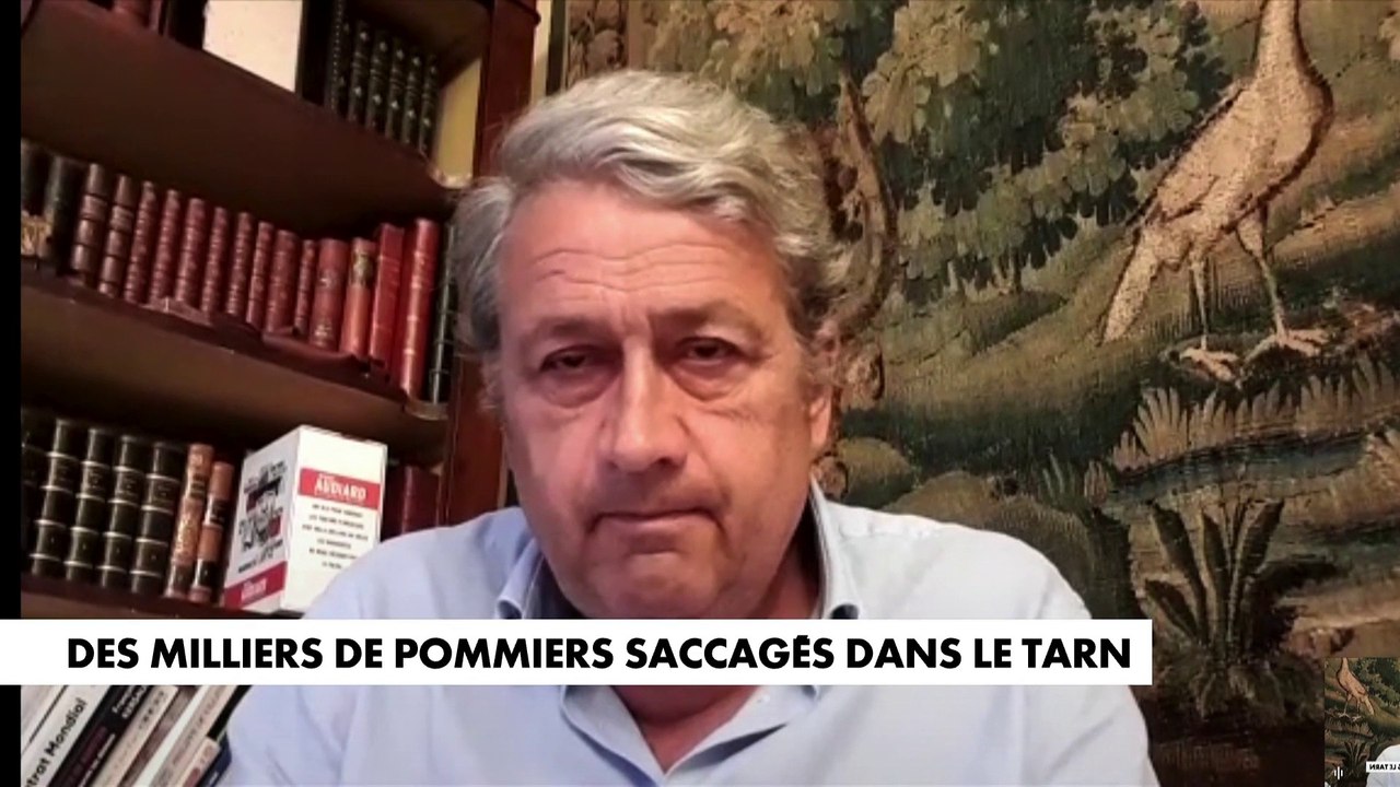 bernard-carayon-le-bio-aujourd-hui-ne-se-vend-plus-des