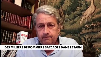 Bernard Carayon : «Le bio aujourd'hui ne se vend plus [...] Des militants écologistes voudraient dicter à cet agriculteur des choix économiques»