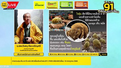 การควบคุม เห็บ เหา ไร หมัด สัตว์เลี้ยงในหน้าฝน EP.1 : FM91 คลินิกสัตว์เลี้ยง : 15 กรกฎาคม 2566