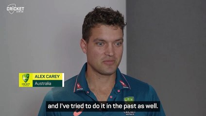 Alex Carey found controversial stumping comments 'amusing'