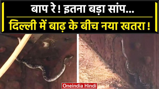Delhi Flood: Delhi के यमुना के पास लोहा पुल में दिखा सांप, घरों में बढ़ा खतरा | वनइंडिया हिंदी