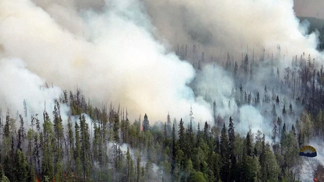Waldbrände in Kanada: Ausmaß der Schäden auf Rekordniveau