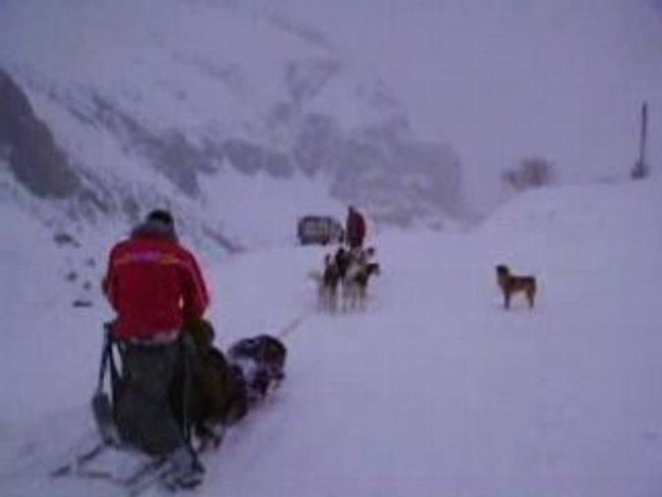 Traîneau et chien chiant