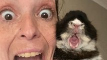 Drowsy bunny yawns cutely and owner imitates the reaction *Hilariously Wholesome*