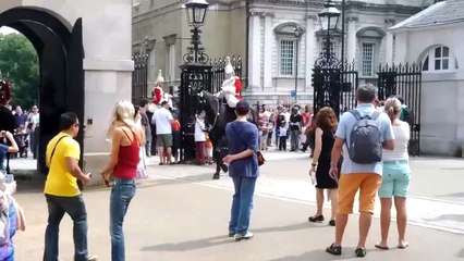 Falling horse during guard change at Whitehall London