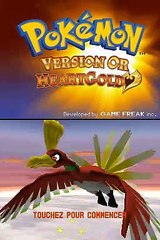 Pokémon Fusion 2 - HeartGold online multiplayer - nds