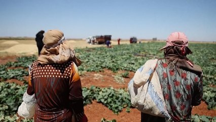 معاناة نازحي الشمال السوري مع موجة الحر