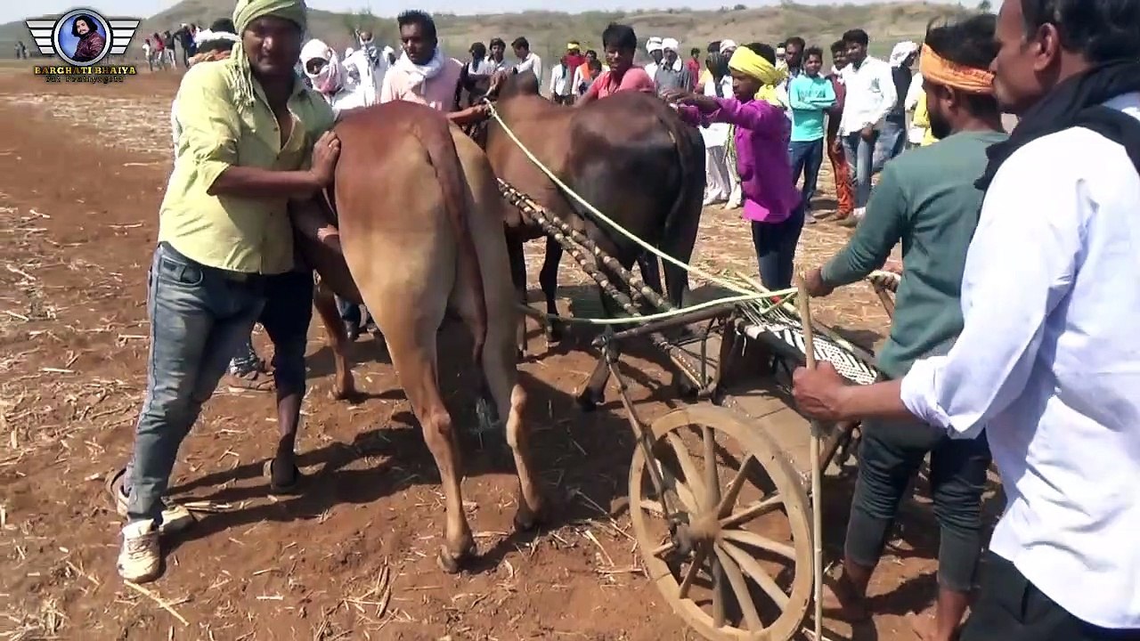 Pat Pratiyogita _ Shoheb Patel Nandi _ Stading Point Video _ Barghati Bhaiya