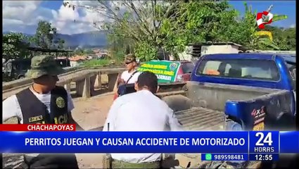 Junín: Incautan 56 kg de cocaína camuflados en camioneta