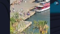 Turistas se lanzan al mar en el muelle de golondrinas del Paseo Marítimo de Palma