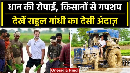 Rahul Gandhi ने Haryana में चलाया ट्रैक्टर और धान भी रोपे, Video Viral | वनइंडिया हिंदी