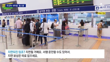 무궁화·새마을 ‘올스톱’…집중호우에 철길도 막혔다