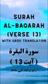 Surah Baqarah Verse 13 | Beautiful Quran Recitation with Urdu Translation | Quran Pak Tilawat Urdu Tarjume ke Saath | تلاوت قرآن مجید اردو ترجمہ کے ساتھ | سورۃ البقرۃ