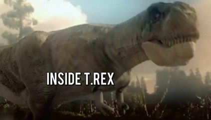 Jurassic CSI: Inside the T. rex – Uncover Dinosaur Secrets 🦖