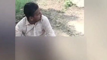 कानपुर देहात: कुत्तों के हमले से राष्ट्रीय पक्षी मोर की मौत