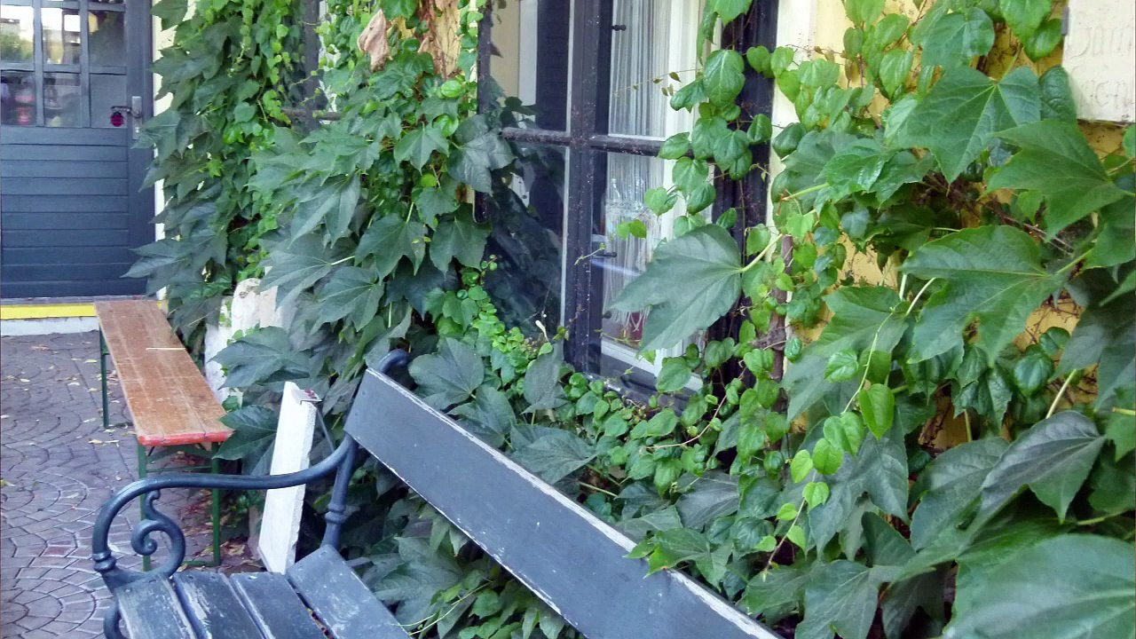 Vernissage Von 3 philippinischen Künstlerinnen