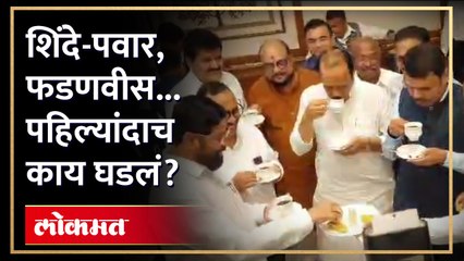 शिंदे पवार फडणवीस पहिल्यांदाच काय घडलं?