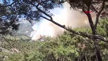 Hatay'da orman yangını! Ekipler hem karadan hem havadan müdahale ediyor