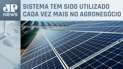 Brasil tem quase 170 mil conexões de energia solar instaladas no meio rural