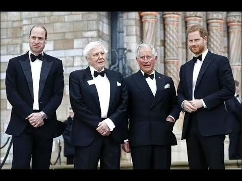 Meghan Markle est restée déconcertée par l'habitude folle du prince Harry qu'il a héritée de sa fa