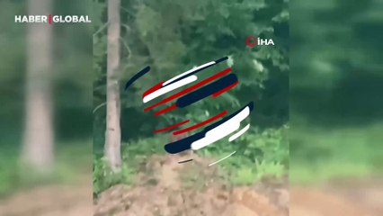 Ayı ile karşılaşan vatandaş, ‘kışt’ diyerek kovmaya çalıştı