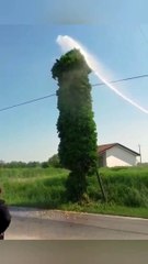 Funny animals - Dogs and Cats  smile with funny cats 