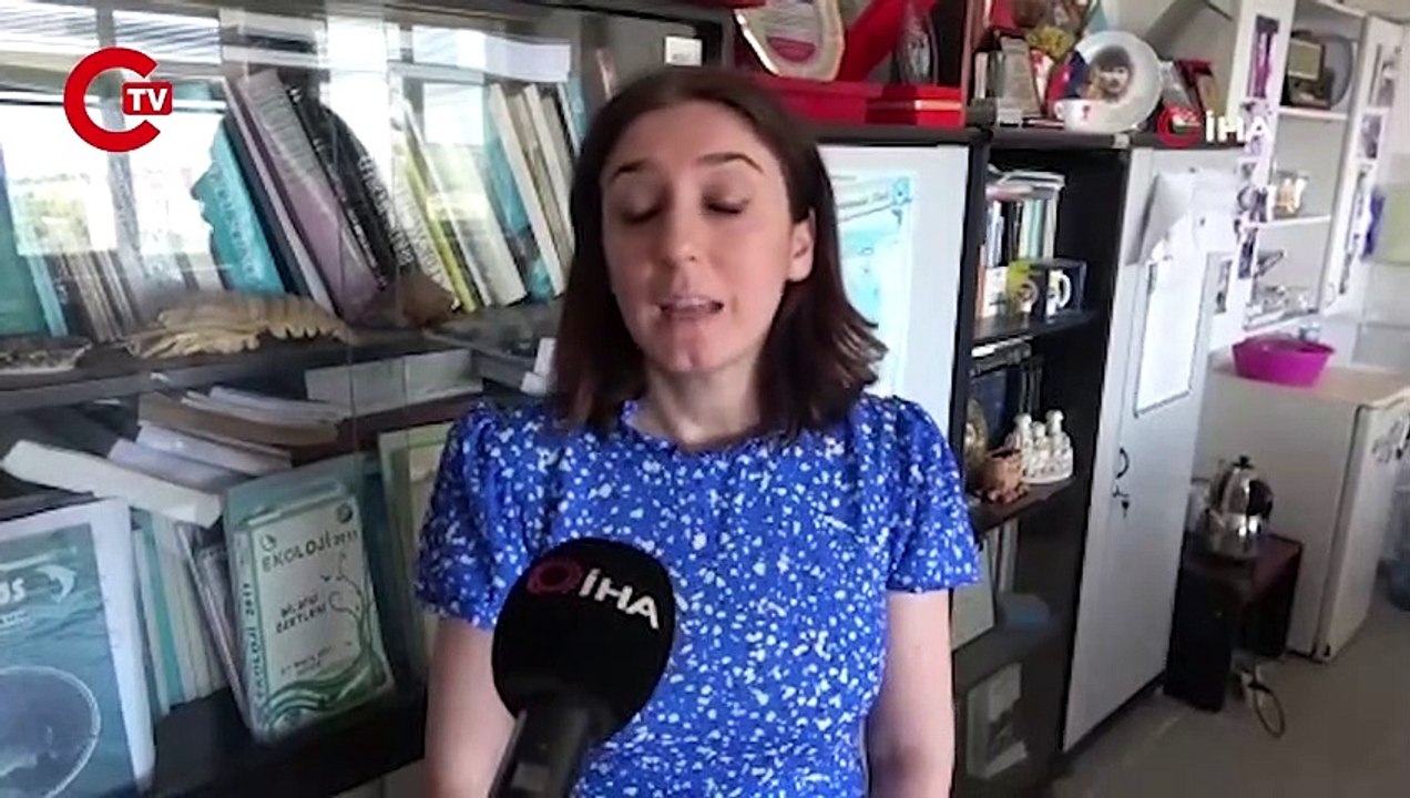 İç sularda istilacı ‘İsrail sazanı’ ve ‘sivrisi...