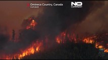 Canadá | Más de 250 incendios forestales declarados en 3 días en Columbia Británica