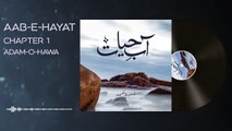 010. Imama Hashim ke 2 hazar say zada novels ke collection - Aab e Hayat Novel Episode 10