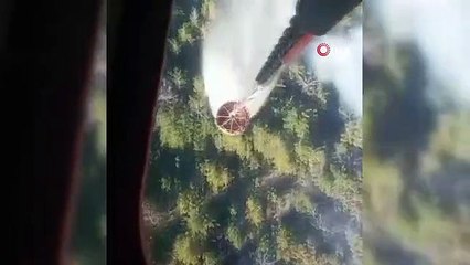 Bolu'daki orman yangınına havadan müdahale