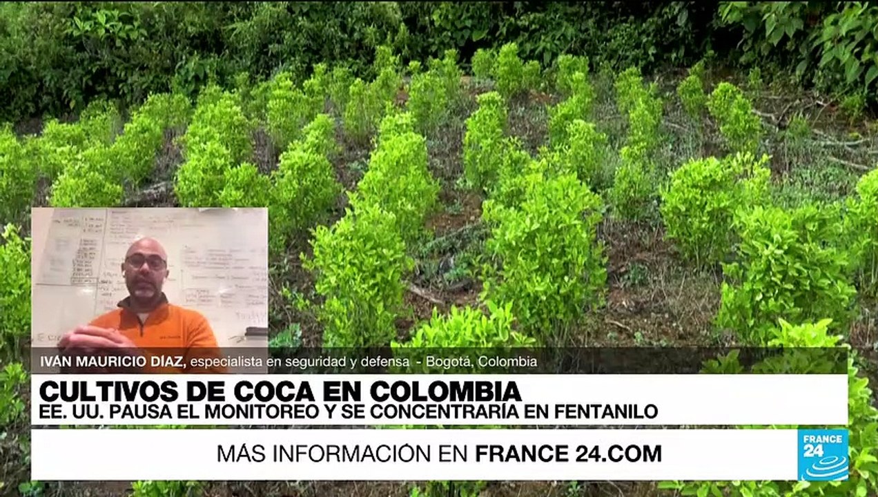 Iván Díaz: 'EE. UU. traslada recursos de lucha contra la cocaína a la lucha contra el fentanilo'