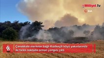 Çanakkale'de orman yangını! Ekiplerin müdahalesi sürüyor
