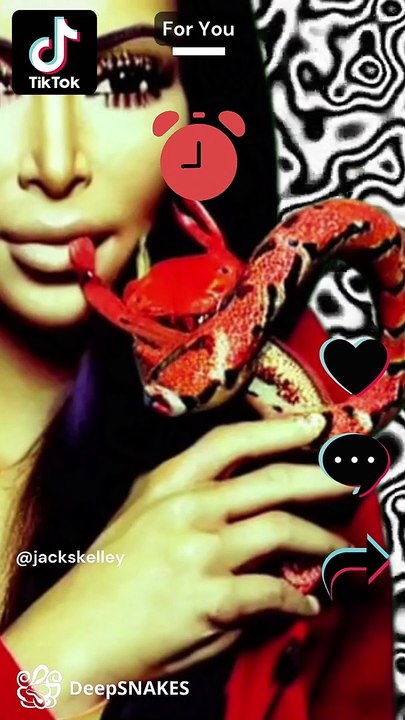 TikTok Alarm Clock (DeepSNAKES remix) / Jack Skelley