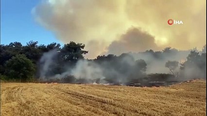 Çanakkale'de orman yangınına havadan ve karadan müdahale ediliyor