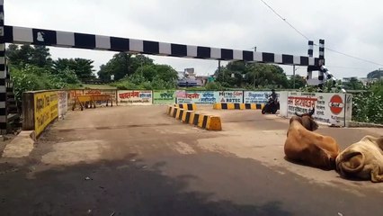 लाल रंग पर पानी... तो नहीं करें अंडरपास को पार, डूब जाने का है खतरा