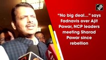 No big deal, says Fadnavis over Ajit Pawar, NCP leaders meeting Sharad Pawar since rebellion