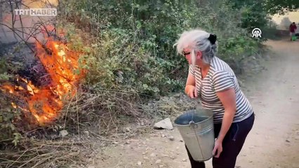 Çanakkale'deki orman yangını