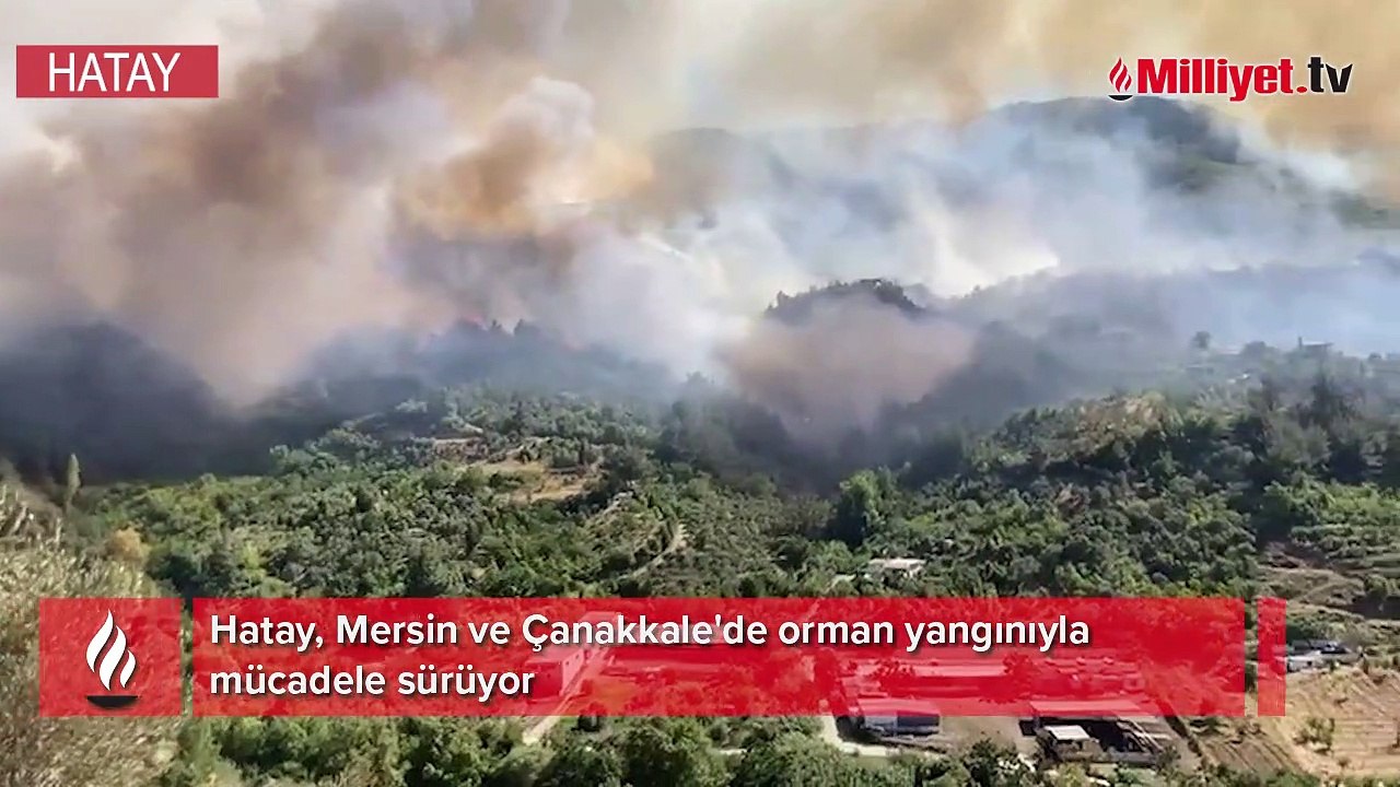 Hatay, Mersin ve Çanakkale'de orman yangınları! Peş peşe flaş açıklamalar...