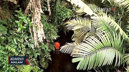 Mahasiswa UMY Asal Pangkal Pinang Dimutilasi, Apa Motif Pelaku?