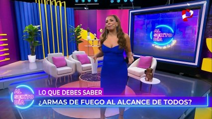¿Armas de fuego al alcance de todos?: Incautan una pistola y un revolver a escolares en un colegio