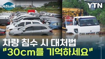 "'30cm·반대방향' 꼭 기억하세요"...차량 침수 시 대처법 [Y녹취록] / YTN