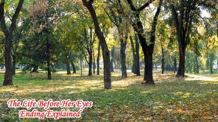 The Life Before Her Eyes Ending Explained | The Life Before Her Eyes Explained|life before her eyes