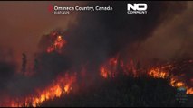 تصاویری از آتش‌سوزی جنگلی در کانادا؛ بیش از ۱۰ میلیون هکتار از ابتدای سال طعمه حریق شد
