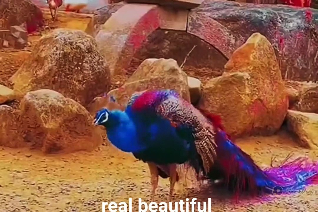 20230717_012344670.mp4_play_logo_US