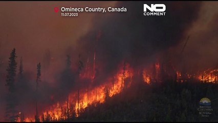 فيديو: حرائق كندا تلتهم أكثر من عشرة ملايين هكتار حتى الآن خلال 2023