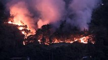 Feu de forêt dans 3 provinces： Maisons incendiées, citoyens évacués, 2 personnes en garde à vue