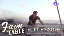‘Farm To Table’s’ yummy YUMpilation! | Farm To Table (Full episode)
