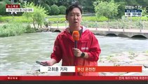 물 빠진 부산 온천천…부산 비 소강 상태