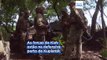 Ucrânia: Dificuldades na frente oriental e avanços em Bakhmut
