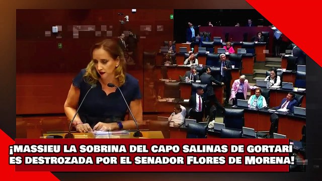 ¡VEAN! ¡Massieu la sobrina del capo salinas de gortari es destazada por el senador Flores de Morena!